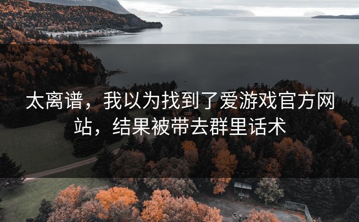 太离谱，我以为找到了爱游戏官方网站，结果被带去群里话术