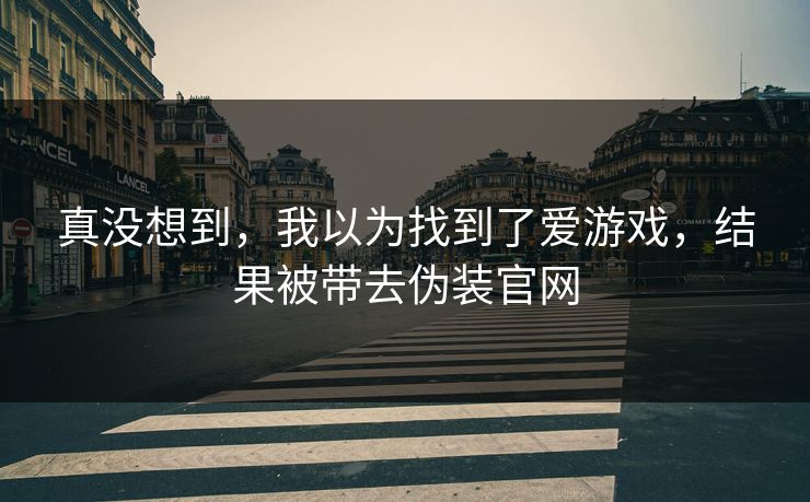 真没想到，我以为找到了爱游戏，结果被带去伪装官网